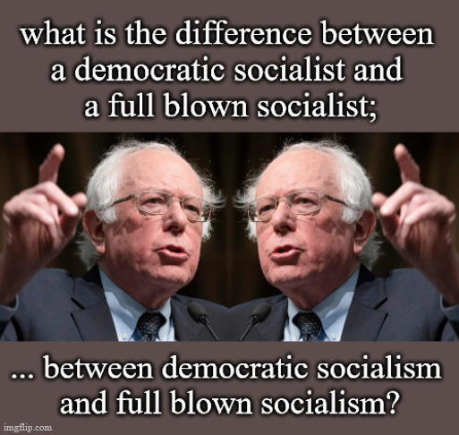 democratic socialism v socialism | image tagged in politics | made w/ Imgflip meme maker
