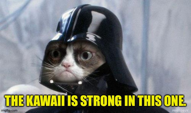 Grumpy Cat Star Wars Meme | THE KAWAII IS STRONG IN THIS ONE. | image tagged in memes,grumpy cat star wars,grumpy cat | made w/ Imgflip meme maker