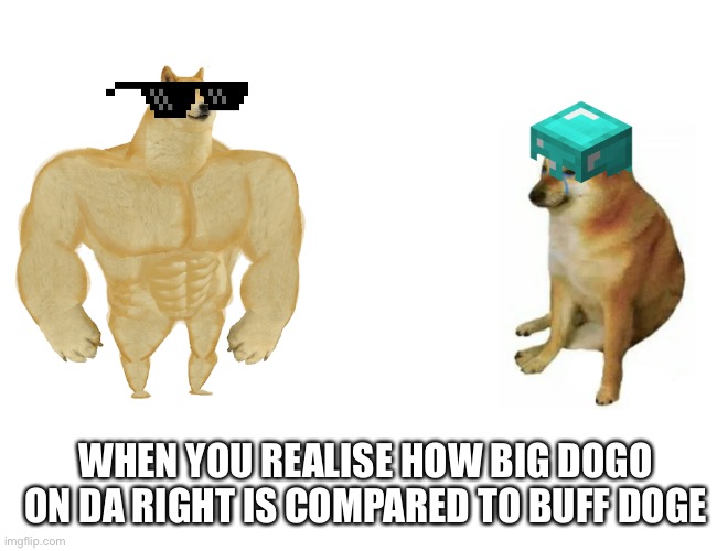 Buff Doge vs. Cheems Meme | WHEN YOU REALISE HOW BIG DOGO ON DA RIGHT IS COMPARED TO BUFF DOGE | image tagged in memes,buff doge vs cheems | made w/ Imgflip meme maker