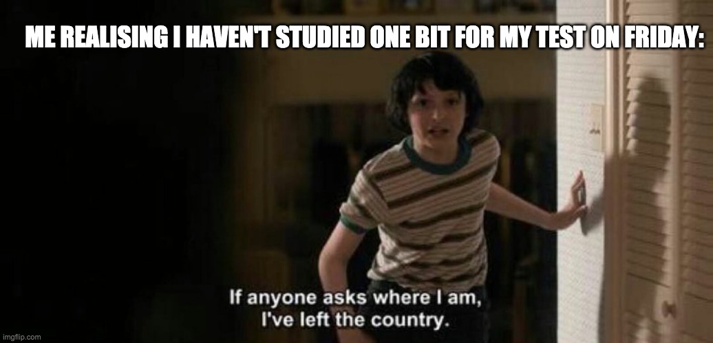 left the country | ME REALISING I HAVEN'T STUDIED ONE BIT FOR MY TEST ON FRIDAY: | image tagged in left the country | made w/ Imgflip meme maker