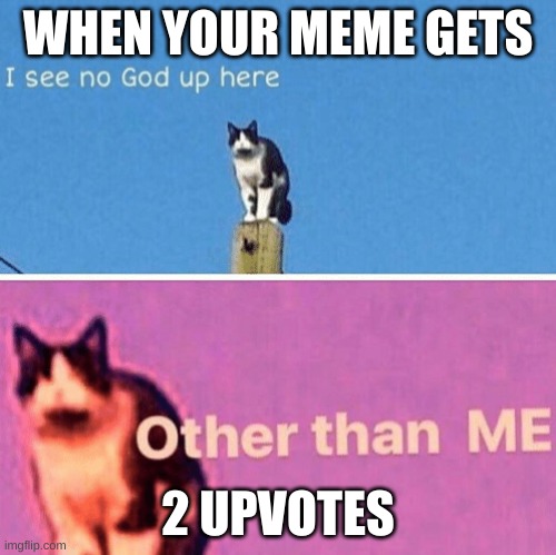 Hail pole cat | WHEN YOUR MEME GETS; 2 UPVOTES | image tagged in hail pole cat | made w/ Imgflip meme maker