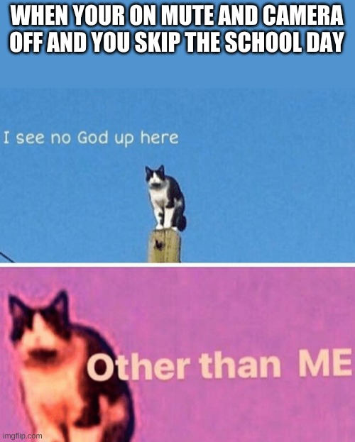 Hail pole cat | WHEN YOUR ON MUTE AND CAMERA OFF AND YOU SKIP THE SCHOOL DAY | image tagged in hail pole cat | made w/ Imgflip meme maker