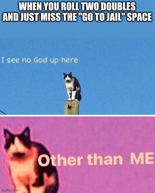 Hail pole cat | WHEN YOU ROLL TWO DOUBLES AND JUST MISS THE "GO TO JAIL" SPACE | image tagged in hail pole cat | made w/ Imgflip meme maker