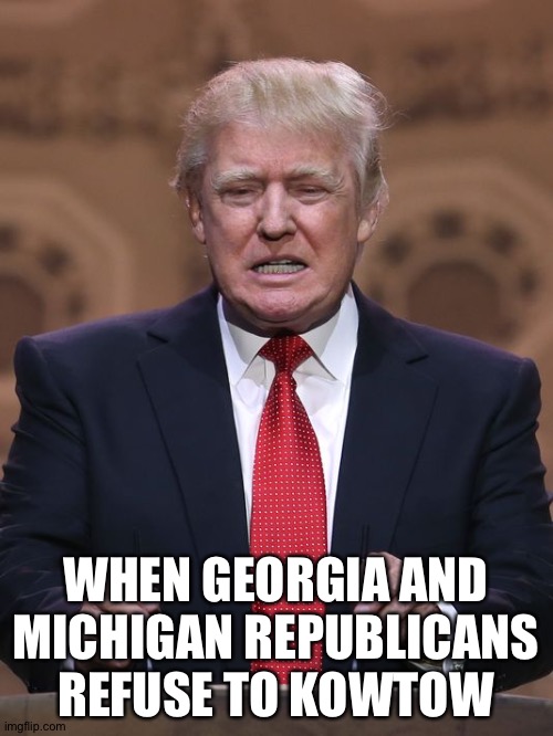 The Vote Stands As Is! | WHEN GEORGIA AND MICHIGAN REPUBLICANS REFUSE TO KOWTOW | image tagged in donald trump | made w/ Imgflip meme maker