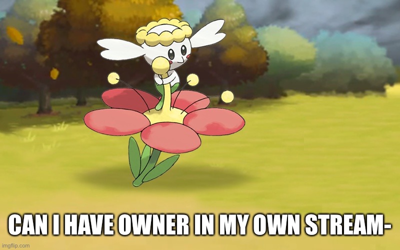 Poke | CAN I HAVE OWNER IN MY OWN STREAM- | image tagged in poke | made w/ Imgflip meme maker