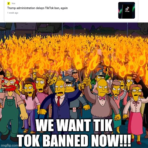 BAN TIK TOK NOW | WE WANT TIK TOK BANNED NOW!!! | image tagged in angry mob | made w/ Imgflip meme maker