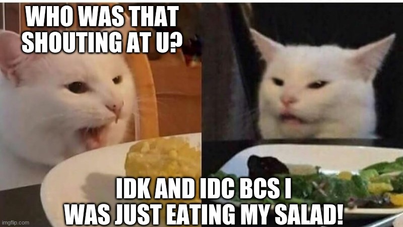 who yellin | WHO WAS THAT SHOUTING AT U? IDK AND IDC BCS I WAS JUST EATING MY SALAD! | image tagged in cat,who yelling | made w/ Imgflip meme maker