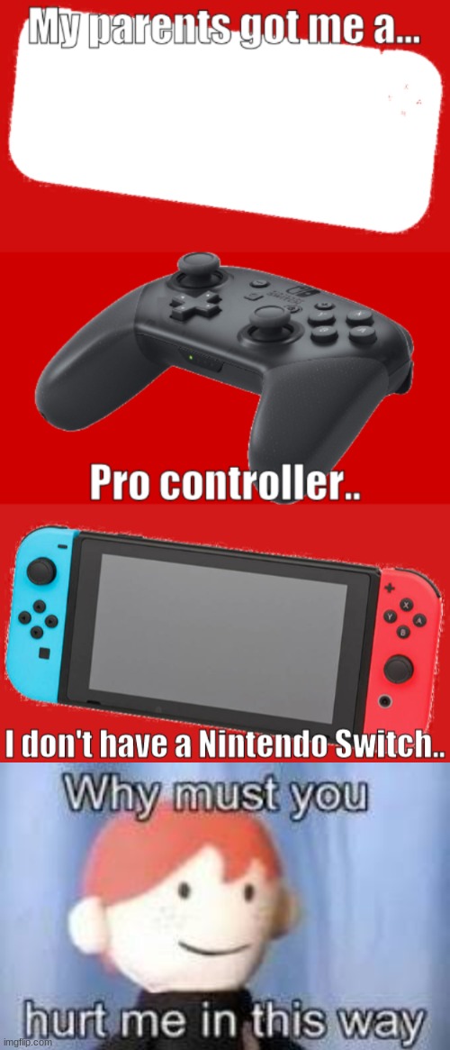 Why must you hurt me in this way | image tagged in why must you hurt me in this way,nintendo switch,pro controller | made w/ Imgflip meme maker