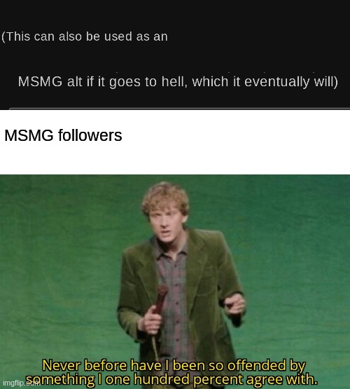 I felt like I should add that for some reason | MSMG followers | image tagged in blank white template,never before have i been so offended by something i one hundred | made w/ Imgflip meme maker