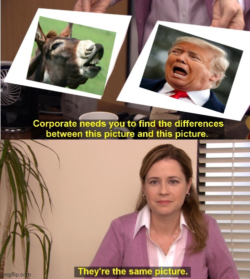 Anti Trump | image tagged in memes,they're the same picture | made w/ Imgflip meme maker