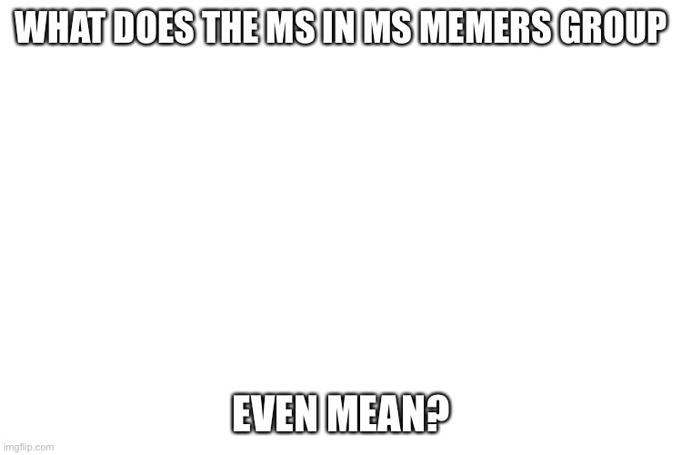 I’ve been wondering this | WHAT DOES THE MS IN MS MEMERS GROUP; EVEN MEAN? | image tagged in what does it mean,lol | made w/ Imgflip meme maker