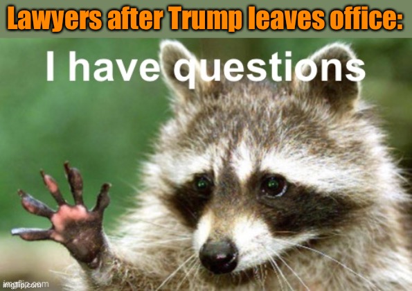 Who’s ready to see how this doofus does under oath? | Lawyers after Trump leaves office: | image tagged in i have questions raccoon,lawyers,law,trump is a moron,trump is an asshole,donald trump is an idiot | made w/ Imgflip meme maker
