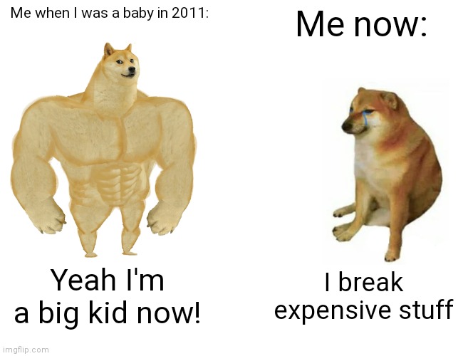 I'm sad | Me when I was a baby in 2011:; Me now:; Yeah I'm a big kid now! I break expensive stuff | image tagged in memes,buff doge vs cheems | made w/ Imgflip meme maker