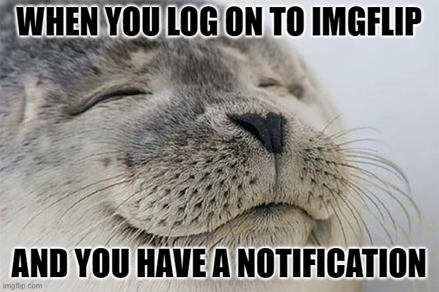 I love that feeling, don't you? | WHEN YOU LOG ON TO IMGFLIP; AND YOU HAVE A NOTIFICATION | image tagged in memes,satisfied seal,imgflip users,notifications | made w/ Imgflip meme maker