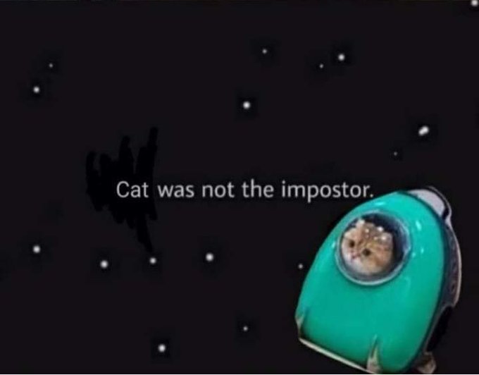 Cat was not the impostor Blank Meme Template