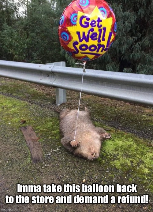 The Helium Isn’t Healin’m | Imma take this balloon back to the store and demand a refund! | image tagged in funny memes,get well soon,balloons,epic fail | made w/ Imgflip meme maker
