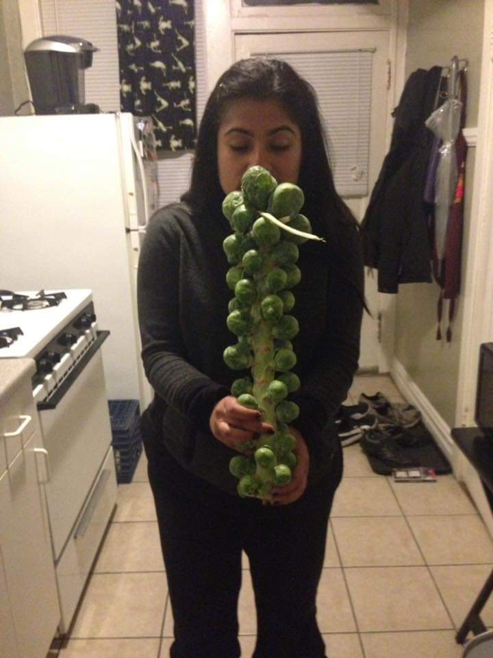 High Quality Brussel sprouts Blank Meme Template