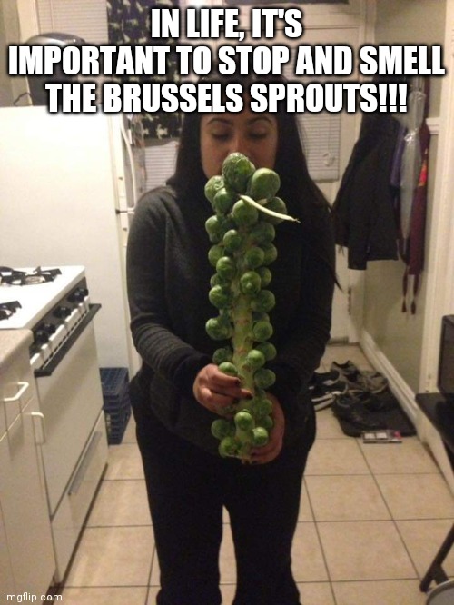 Stop and smell | IN LIFE, IT'S IMPORTANT TO STOP AND SMELL THE BRUSSELS SPROUTS!!! | image tagged in brussel sprouts | made w/ Imgflip meme maker
