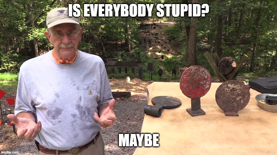 Is everybody stupid? | IS EVERYBODY STUPID? MAYBE | image tagged in stupid,hickhock45,plates | made w/ Imgflip meme maker