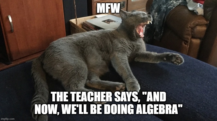 mfw algebra | MFW; THE TEACHER SAYS, "AND NOW, WE'LL BE DOING ALGEBRA" | image tagged in cat | made w/ Imgflip meme maker