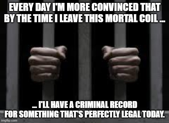 What will they ban next? | EVERY DAY I'M MORE CONVINCED THAT BY THE TIME I LEAVE THIS MORTAL COIL ... ... I'LL HAVE A CRIMINAL RECORD FOR SOMETHING THAT'S PERFECTLY LEGAL TODAY. | image tagged in jail | made w/ Imgflip meme maker