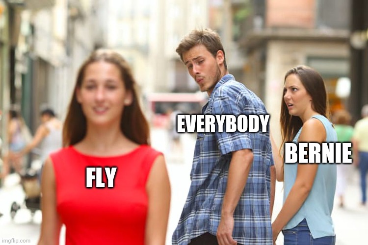 Distracted Boyfriend Meme | EVERYBODY; BERNIE; FLY | image tagged in memes,distracted boyfriend | made w/ Imgflip meme maker