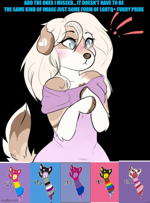 Hehe I put all the ones I have here | ADD THE ONES I MISSED... IT DOESN'T HAVE TO BE THE SAME KIND OF IMAGE JUST SOME FORM OF LGBTQ+ FURRY PRIDE | made w/ Imgflip meme maker