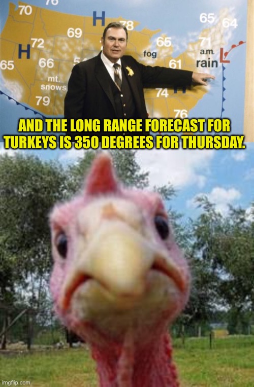 Forecast | AND THE LONG RANGE FORECAST FOR TURKEYS IS 350 DEGREES FOR THURSDAY. | image tagged in the forecast calls for,turkey | made w/ Imgflip meme maker