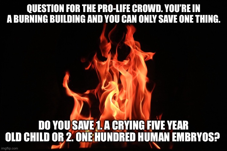 genuine question | QUESTION FOR THE PRO-LIFE CROWD. YOU’RE IN A BURNING BUILDING AND YOU CAN ONLY SAVE ONE THING. DO YOU SAVE 1. A CRYING FIVE YEAR OLD CHILD OR 2. ONE HUNDRED HUMAN EMBRYOS? | image tagged in prolife,question | made w/ Imgflip meme maker