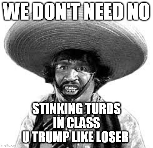Badges we dont need no stinking badges | WE DON'T NEED NO STINKING TURDS
IN CLASS
U TRUMP LIKE LOSER | image tagged in badges we dont need no stinking badges | made w/ Imgflip meme maker