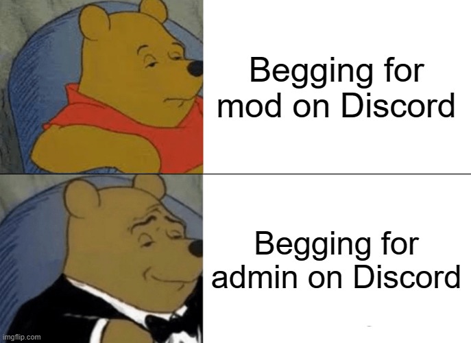 Discord meme | Begging for mod on Discord; Begging for admin on Discord | image tagged in memes,tuxedo winnie the pooh,funny,discord | made w/ Imgflip meme maker