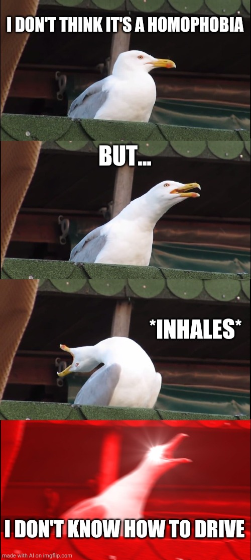 Bird's Unsure | I DON'T THINK IT'S A HOMOPHOBIA; BUT... *INHALES*; I DON'T KNOW HOW TO DRIVE | image tagged in memes,inhaling seagull | made w/ Imgflip meme maker