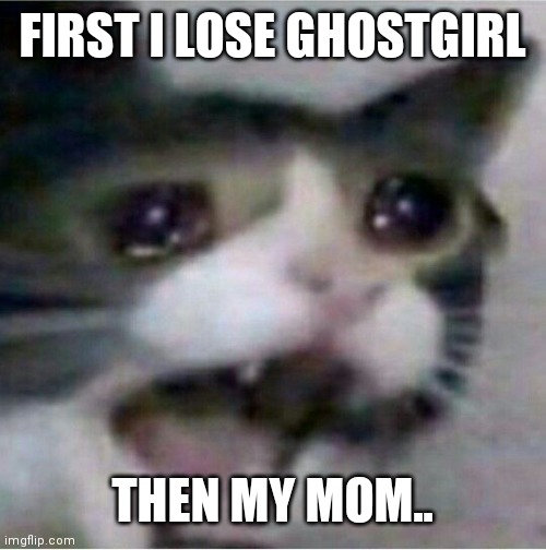 *cri*WTF | FIRST I LOSE GHOSTGIRL; THEN MY MOM.. | image tagged in crying cat | made w/ Imgflip meme maker
