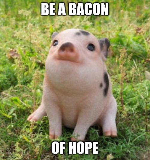 Bacon of Hope | BE A BACON; OF HOPE | image tagged in pig,bacon,hope | made w/ Imgflip meme maker