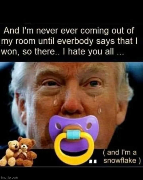 image tagged in snowflakes | made w/ Imgflip meme maker