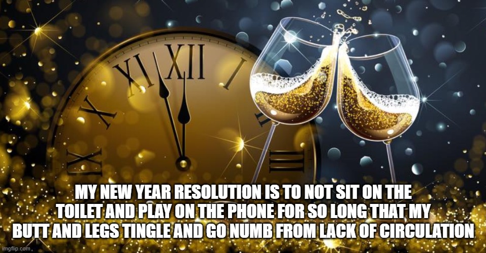 Happy New Year | MY NEW YEAR RESOLUTION IS TO NOT SIT ON THE TOILET AND PLAY ON THE PHONE FOR SO LONG THAT MY BUTT AND LEGS TINGLE AND GO NUMB FROM LACK OF CIRCULATION | image tagged in happy new year | made w/ Imgflip meme maker
