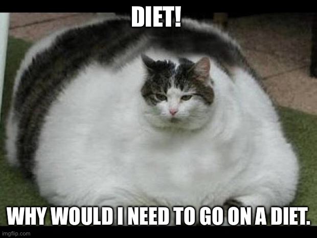 fat cat 2 | DIET! WHY WOULD I NEED TO GO ON A DIET. | image tagged in fat cat 2 | made w/ Imgflip meme maker
