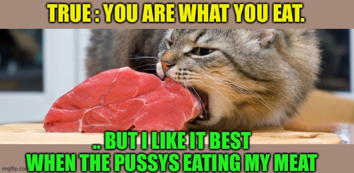 cat eating meat | TRUE : YOU ARE WHAT YOU EAT. .. BUT I LIKE IT BEST WHEN THE PUSSYS EATING MY MEAT | image tagged in cat eating meat | made w/ Imgflip meme maker