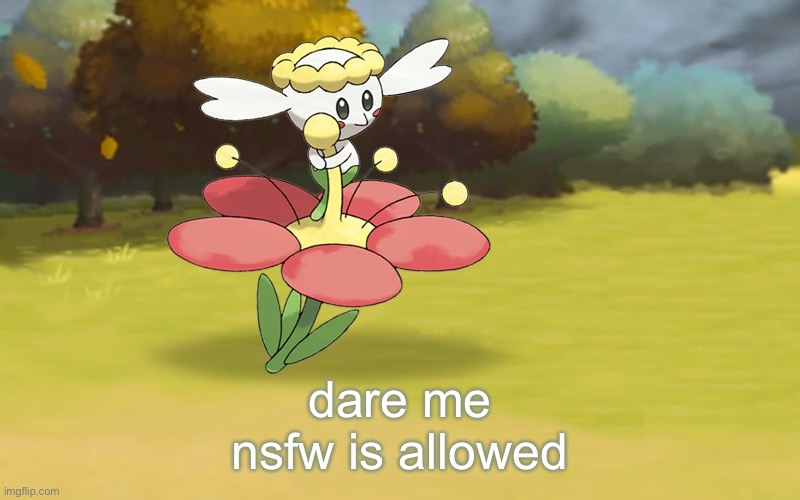 Poke | dare me
nsfw is allowed | image tagged in poke | made w/ Imgflip meme maker