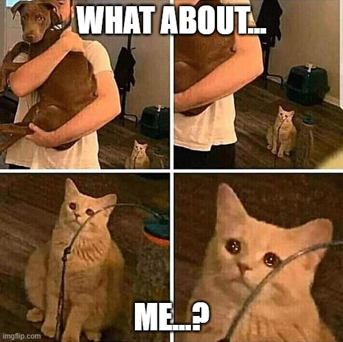 It hurts in my meow | WHAT ABOUT... ME...? | image tagged in it hurts in my meow | made w/ Imgflip meme maker