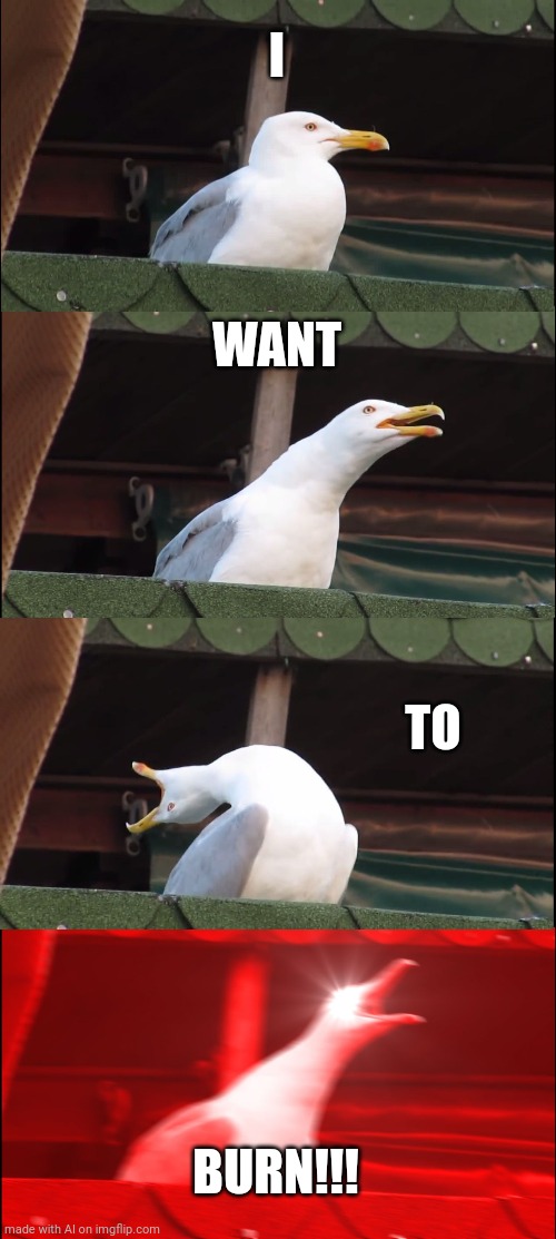 Seagull firestarter | I; WANT; TO; BURN!!! | image tagged in memes,inhaling seagull | made w/ Imgflip meme maker