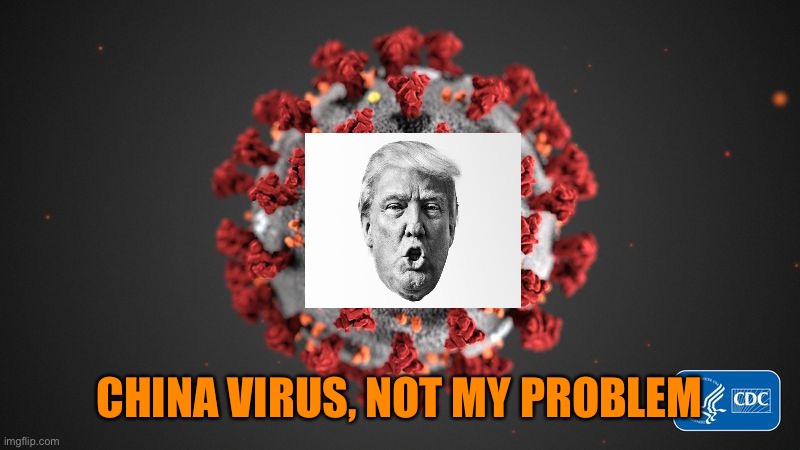 Covid 19 | CHINA VIRUS, NOT MY PROBLEM | image tagged in covid 19 | made w/ Imgflip meme maker