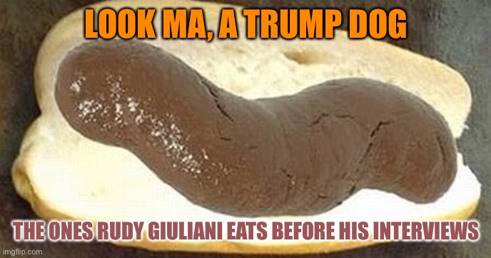 You need to eat a yard of Trumps crap before you can go insane | LOOK MA, A TRUMP DOG; THE ONES RUDY GIULIANI EATS BEFORE HIS INTERVIEWS | image tagged in true shit sandwich,rudy giuliani,election 2020,election fraud,donald trump,loser | made w/ Imgflip meme maker