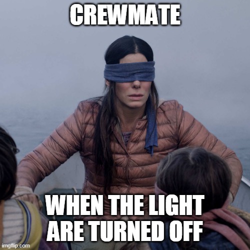 Bird Box | CREWMATE; WHEN THE LIGHT ARE TURNED OFF | image tagged in memes,bird box | made w/ Imgflip meme maker