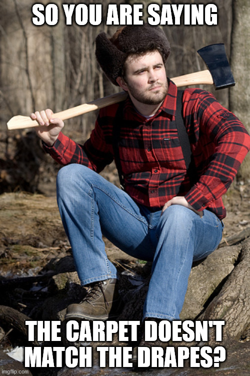 Solemn Lumberjack Meme | SO YOU ARE SAYING; THE CARPET DOESN'T MATCH THE DRAPES? | image tagged in memes,solemn lumberjack | made w/ Imgflip meme maker