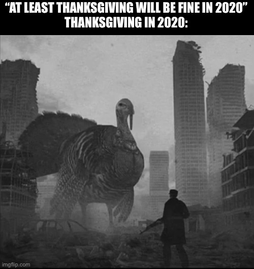 2020 sucks | “AT LEAST THANKSGIVING WILL BE FINE IN 2020”
THANKSGIVING IN 2020: | image tagged in funny,memes,2020 sucks,thanksgiving | made w/ Imgflip meme maker