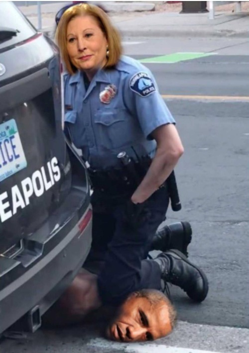 Officer Sidney takes down the Deep State | image tagged in sidney,deep state,bubba and barack,barack obama proud face,proud face no more,i cant breed | made w/ Imgflip meme maker