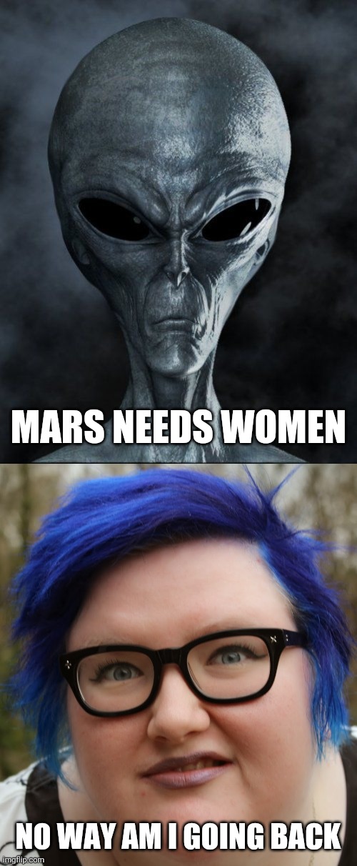 Mars needs women | MARS NEEDS WOMEN; NO WAY AM I GOING BACK | image tagged in alien grey | made w/ Imgflip meme maker