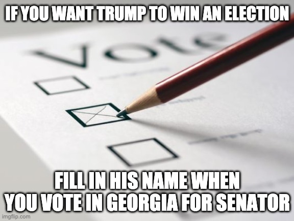 He could be the next Senator from Georgia | IF YOU WANT TRUMP TO WIN AN ELECTION; FILL IN HIS NAME WHEN YOU VOTE IN GEORGIA FOR SENATOR | image tagged in voting ballot,georgia,election,trump,maga,winner | made w/ Imgflip meme maker