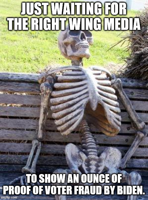 Waiting Skeleton Meme | JUST WAITING FOR THE RIGHT WING MEDIA TO SHOW AN OUNCE OF PROOF OF VOTER FRAUD BY BIDEN. | image tagged in memes,waiting skeleton | made w/ Imgflip meme maker